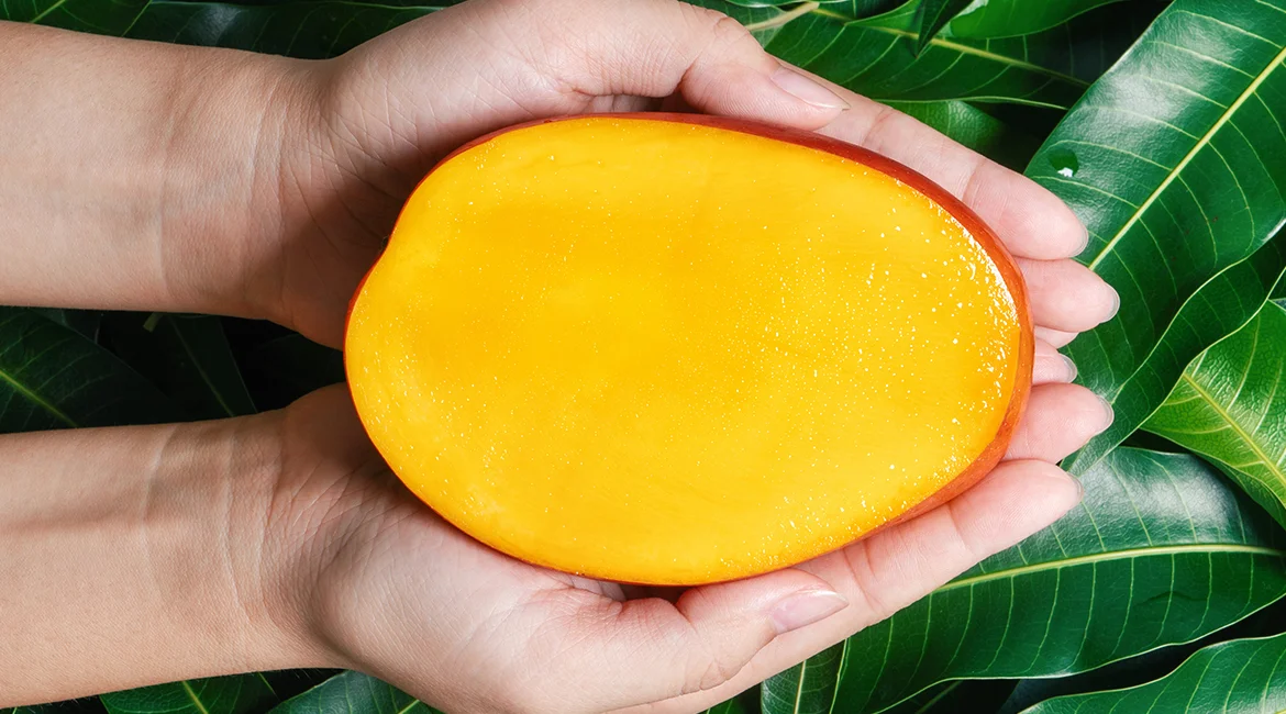 It Began as an Ambitious Vision image