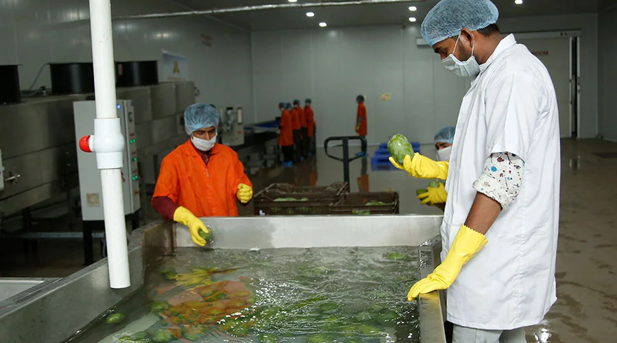 Fruit Processing image