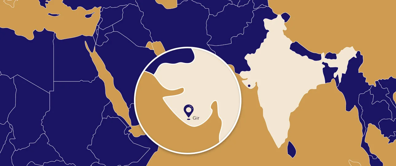 We live where the fruits live image