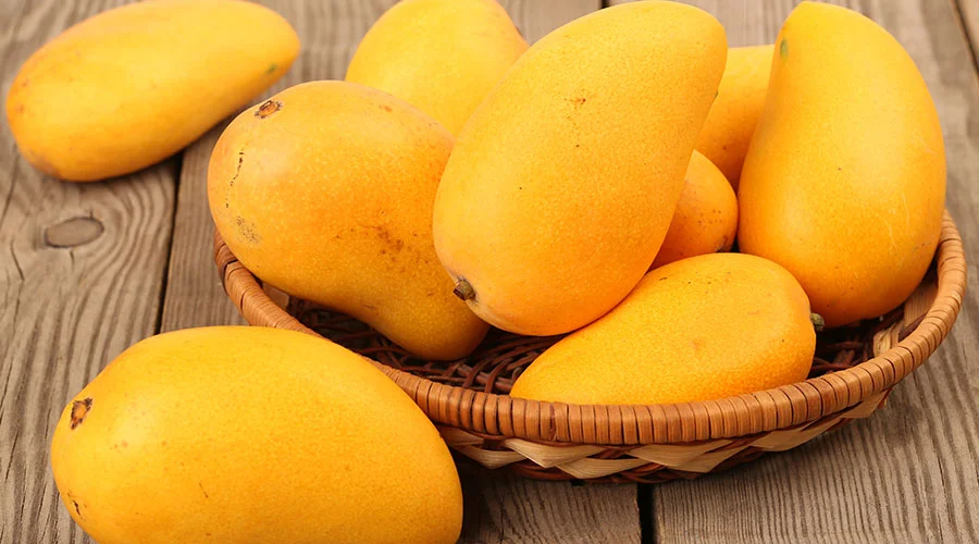 Kesar Mangoes | Lion Foods India