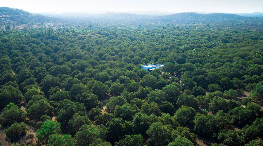 Till the eyes can reach image