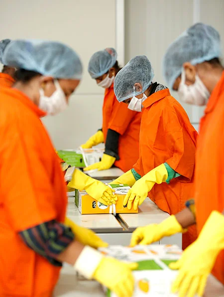 Fresh Produce Pack House image