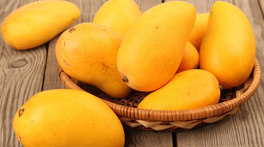 Alphonso Mango