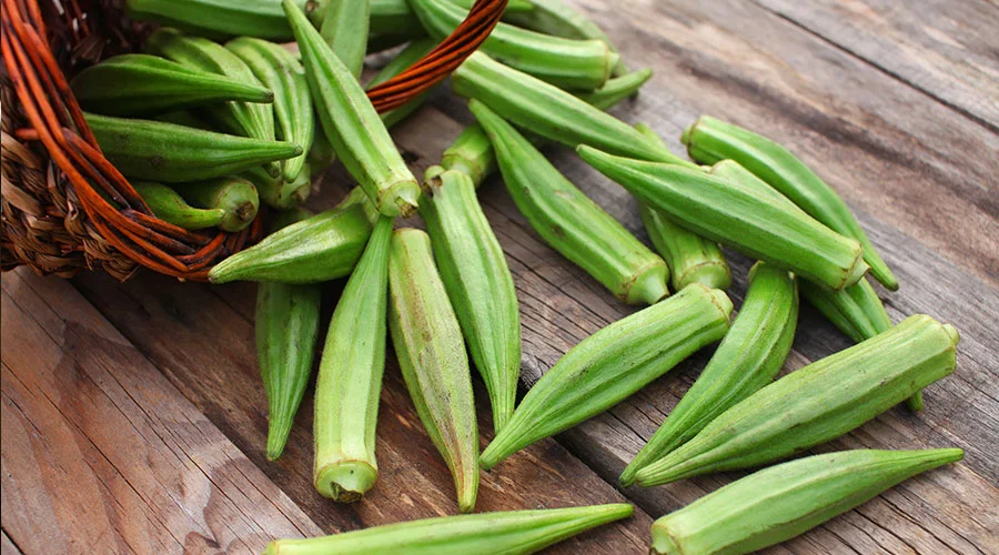 Okra